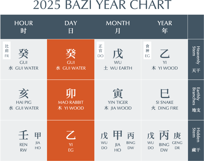 2025 BaZi Year Chart